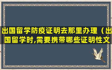 出国留学防疫证明去那里办理（出国留学时,需要携带哪些证明性文件( )）